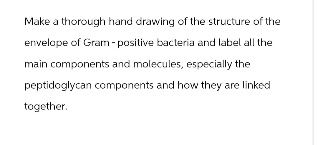 Make a thorough hand drawing of the structure of the
envelope of Gram - positive bacteria and label all the
main components and molecules, especially the
peptidoglycan components and how they are linked
together.