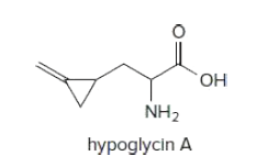 HO,
NH2
hypoglycin A
