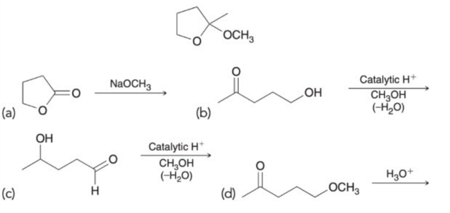 OCH3
Catalytic H*
NaOCH3
OH
CH3OH
(H20)
(а)
(b)
OH
Catalytic H*
CH,OH
(H,0)
H30+
(c)
H
(d)
OCH3
