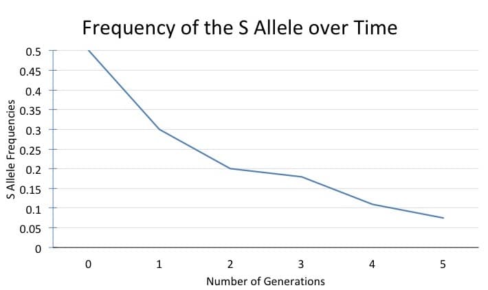 S Allele Frequencies
0.5
0.45
0.4
0.35
0.3
0.25
0.2
0.15
0.1
0.05
0
Frequency of the S Allele over Time
0
1
2
3
Number of Generations
4
5
сл