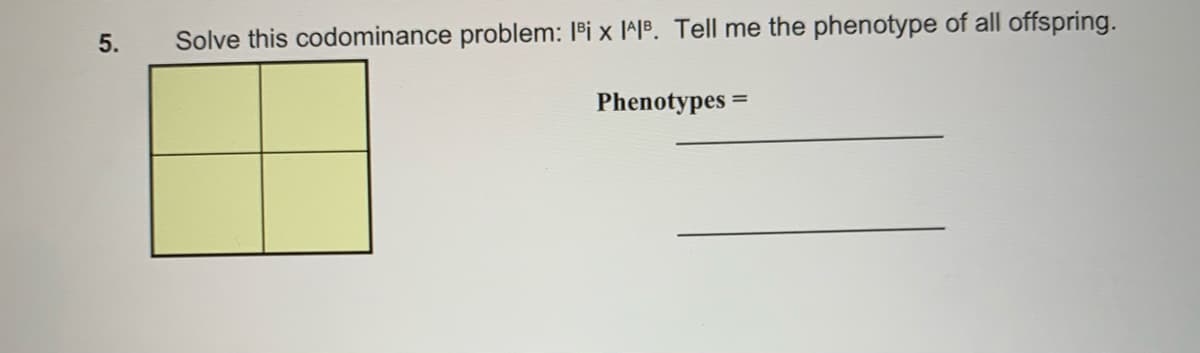5.
Solve this codominance problem: 1Bi x I^1B. Tell me the phenotype of all offspring.
Phenotypes =
