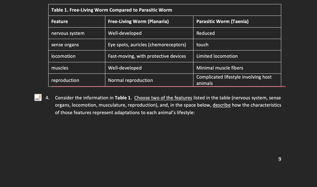 ABC
Table 1. Free-Living Worm Compared to Parasitic Worm
Free-Living Worm (Planaria)
Feature
nervous system
sense organs
locomotion
muscles
reproduction
Well-developed
Eye spots, auricles (chemoreceptors)
Fast-moving, with protective devices
Well-developed
Normal reproduction
Parasitic Worm (Taenia)
Reduced
touch
Limited locomotion
Minimal muscle fibers
Complicated lifestyle involving host
animals
4. Consider the information in Table 1. Choose two of the features listed in the table (nervous system, sense
organs, locomotion, musculature, reproduction), and, in the space below, describe how the characteristics
of those features represent adaptations to each animal's lifestyle:
9