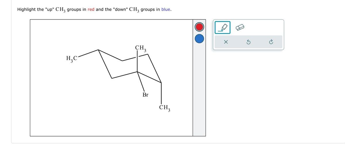 Highlight the "up" CH3 groups in red and the "down" CH3 groups in blue.
H₂C
CH.
Br
CH₂
X
è