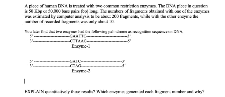 A piece of human DNA is treated with two common restriction enzymes. The DNA piece in question
is 50 Kbp or 50,000 base pairs (bp) long. The numbers of fragments obtained with one of the enzymes
was estimated by computer analysis to be about 200 fragments, while with the other enzyme the
number of recorded fragments was only about 10.
You later find that two enzymes had the following palindrome as recognition sequence on DNA.
5'
---GAATTC-
-3'
3'-
--СТТААG-
--5
Enzyme-1
5'
-GATC-
-3'
3'
-СТAG--
Enzyme-2
|
EXPLAIN quantitatively these results? Which enzymes generated each fragment number and why?
