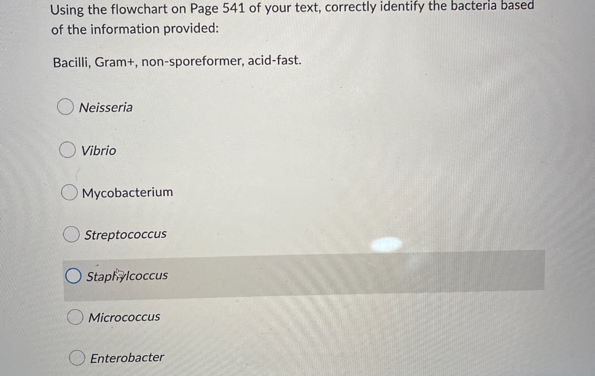 Using the flowchart on Page 541 of your text, correctly identify the bacteria based
of the information provided:
Bacilli, Gram+, non-sporeformer, acid-fast.
Neisseria
O Vibrio
Mycobacterium
Streptococcus
Staphylcoccus
Micrococcus
Enterobacter
