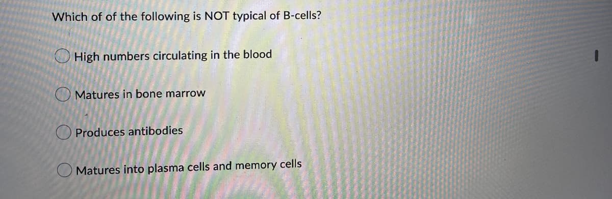 Which of of the following is NOT typical of B-cells?
High numbers circulating in the blood
Matures in bone marrow
Produces antibodies
Matures into plasma cells and memory cells