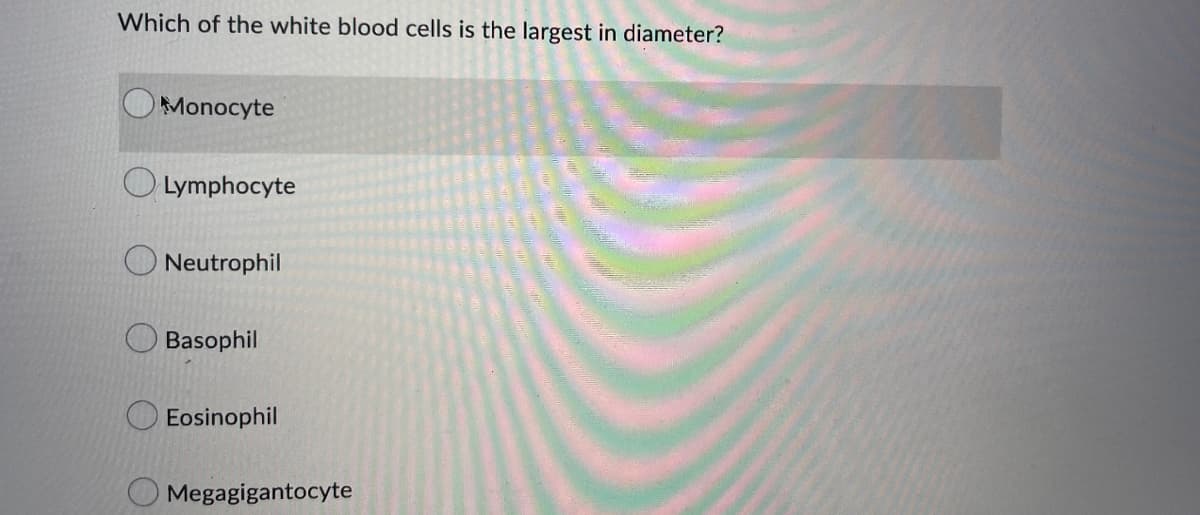 Which of the white blood cells is the largest in diameter?
Monocyte
Lymphocyte
Neutrophil
Basophil
Eosinophil
Megagigantocyte