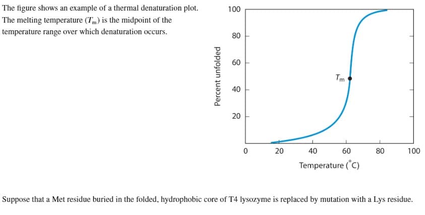 The figure shows an example of a thermal denaturation plot.
The melting temperature (T) is the midpoint of the
temperature range over which denaturation occurs.
Percent unfolded
100
80
60
40
20
0
20
Tm
E
40
60
Temperature (°C)
80
100
Suppose that a Met residue buried in the folded, hydrophobic core of T4 lysozyme is replaced by mutation with a Lys residue.