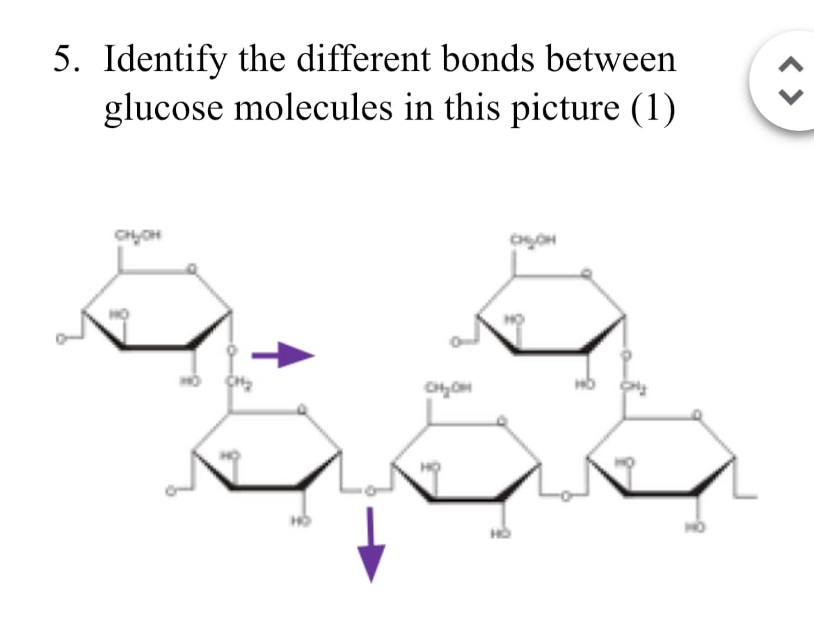 5. Identify the different bonds between
glucose molecules in this picture (1)
<>