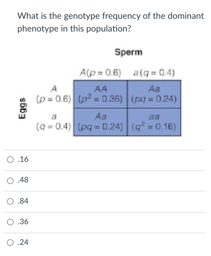 What is the genotype frequency of the dominant
phenotype in this population?
Sperm
A(p = 0.6) a(q= 0.4)
AA
Aa
(p = 0.6) (p? = 0.36) (pq 0.24)
a
Aa
aa
(q = 0.4) (pq = 0.24) (q = 0.16)
O .16
.48
O .84
O .36
O .24
s663
