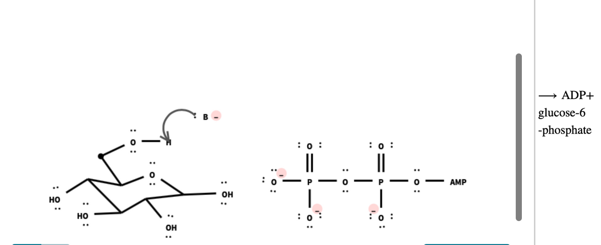 ADP+
>
glucose-6
-phosphate
:0 :
: о :
AMP
он
но
но
Он
|
: 0:
:'o:
: ö:
: 5:
: o:
: o:
