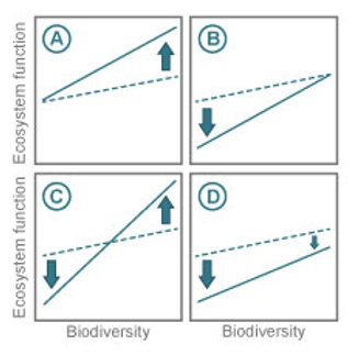 A)
B
Biodiversity
Biodiversity
Ecosystem function Ecosystem function
