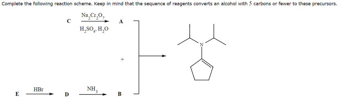 Complete the following reaction scheme. Keep in mind that the sequence of reagents converts an alcohol with 5 carbons or fewer to these precursors.
Na,Cr2O7
H2SO4, H2O
E
HBr
C
D
NH3
A
+
B
ㅏ