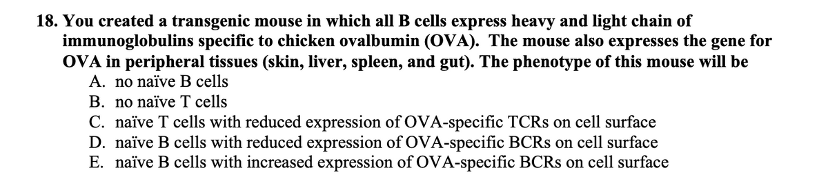 18. You created a transgenic mouse in which all B cells express heavy and light chain of
immunoglobulins specific to chicken ovalbumin (OVA). The mouse also expresses the gene for
OVA in peripheral tissues (skin, liver, spleen, and gut). The phenotype of this mouse will be
A. no naïve B cells
B. no naïve T cells
C. naïve T cells with reduced expression of OVA-specific TCRs on cell surface
D. naïve B cells with reduced expression of OVA-specific BCRs on cell surface
E. naïve B cells with increased expression of OVA-specific BCRs on cell surface