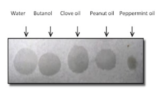 Water Butanol Clove oil
Peanut oil Peppermint oil
