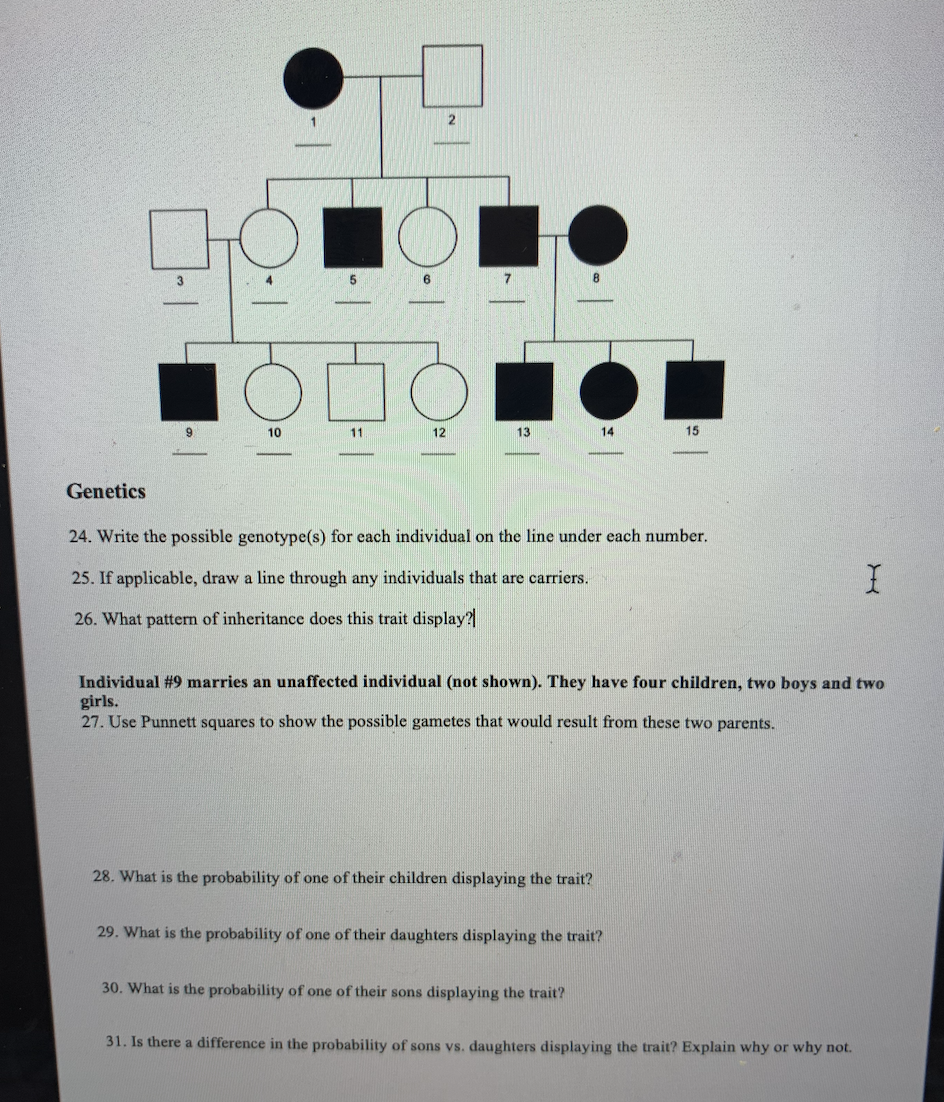 3.
6
10
11
12
13
14
15
Genetics
24. Write the possible genotype(s) for each individual on the line under each number.
25. If applicable, draw a line through any individuals that are carriers.
26. What pattern of inheritance does this trait display?
Individual #9 marries an unaffected individual (not shown). They have four children, two boys and two
girls.
27. Use Punnett squares to show the possible gametes that would result from these two parents.
28. What is the probability of one of their children displaying the trait?
29. What is the probability of one of their daughters displaying the trait?
30. What is the probability of one of their sons displaying the trait?
31. Is there a difference in the probability of sons vs. daughters displaying the trait? Explain why or why not.
