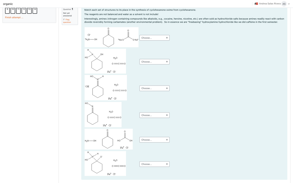 organic
11
12
BUN*Ⓡ*
Finish attempt ...
9
10
13
14
Question 1
Not yet
answered
Flag
question
Match each set of structures to its place in the synthesis of cyclohexanone oxime from cyclohexanone.
The reagents are not balanced and water as a solvent is not include!
Interestingly, amines (nitrogen containing compounds like alkaloids, e.g., cocaine, heroine, nicotine, etc.) are often sold as hydrochloride salts because amines readily react with carbon
dioxide reversibly forming carbamates (another environmental problem). So in essence we are "freebasing" hydroxylamine hydrochloride like we did caffeine in the first semester.
C1-
*H₂N-OH
H
HO
OH
НО.
H
НО.
H₂N-OH
HO
`N
Nx
H
OH
H
H₂O
0 C 0
Nat Cl
H₂O
Na Cl
Nat C1-
H₂O
0=C=0
*Na O
0 C 0
H₂O
HO
Na C1-
Na Cl
0 C 0
OH
ONa+
Choose...
Choose...
Choose...
Choose...
Choose...
Choose...
4 Andrea Salas Rivera AS
◆