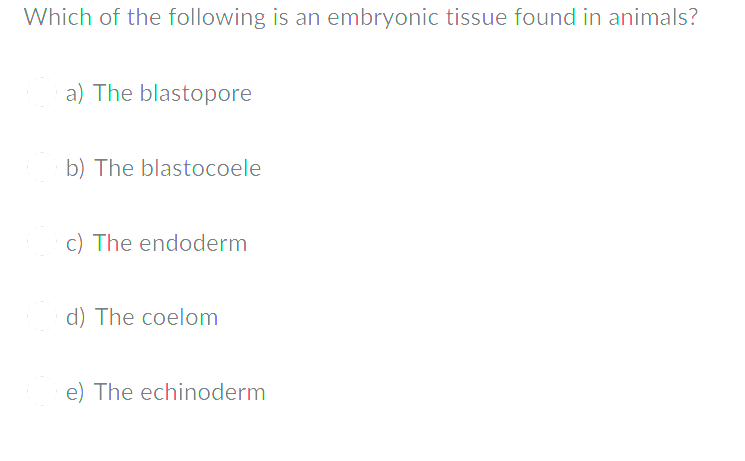 Which of the following is an embryonic tissue found in animals?
a) The blastopore
b) The blastocoele
c) The endoderm
d) The coelom
e) The echinoderm
