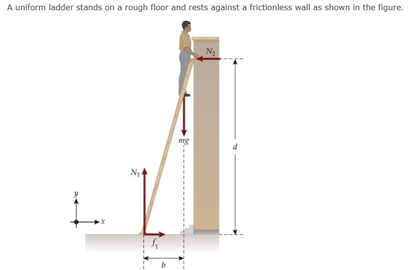 A uniform ladder stands on a rough floor and rests against a frictionless wall as shown in the figure.
y
N₁
b
mg
N₂