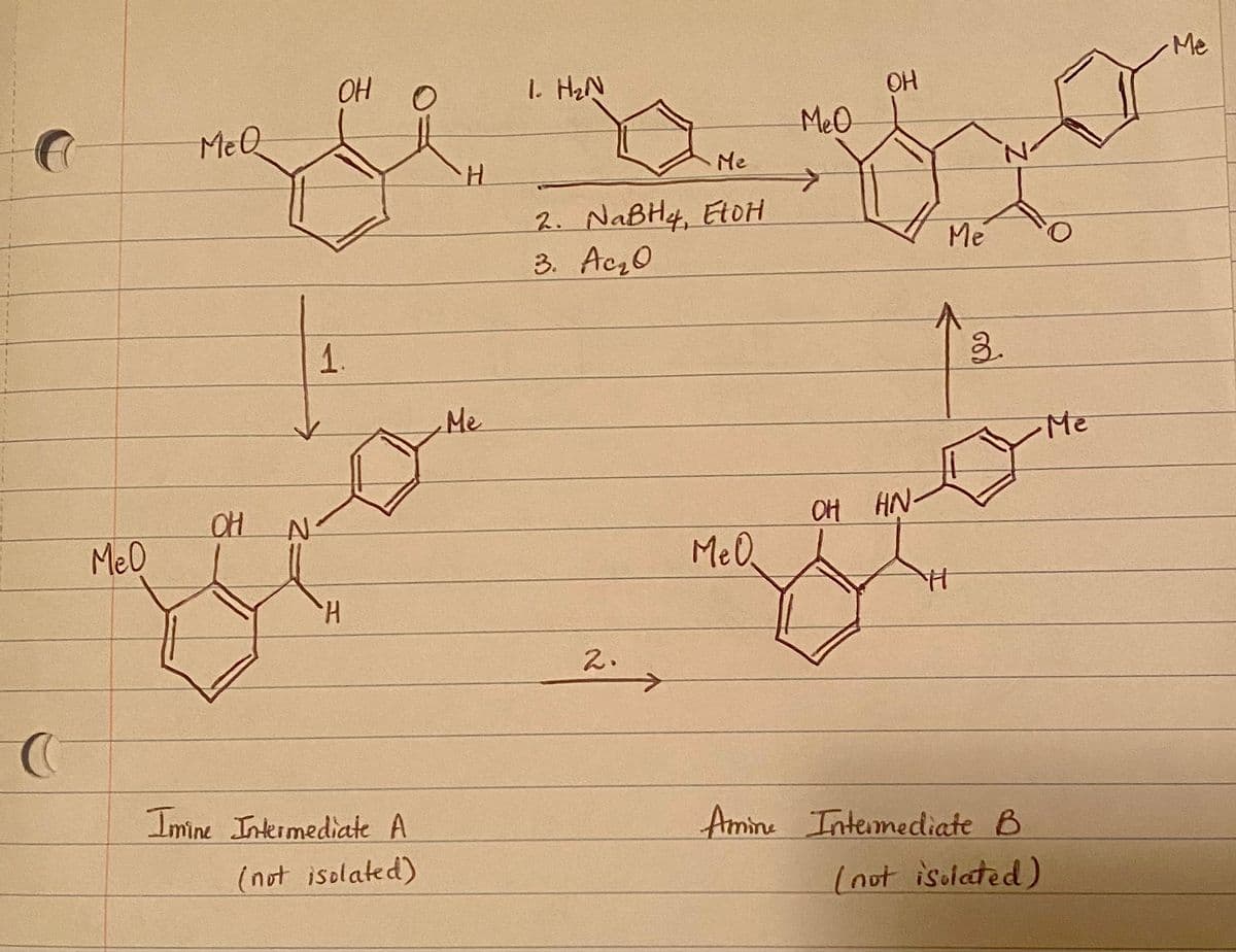 MeO
Me Q
OH N
قلم
OH
1.
H
Imine Intermediate A
(not isolated)
H
•Me
1. H₂N
Me
2. NaBH4, EtOH
3. Ac₂0
2.
Mel.
MeO
>
OH
OH HN-
Me
H
3.
Amine Intermediate B
(not isolated)
Me
Me