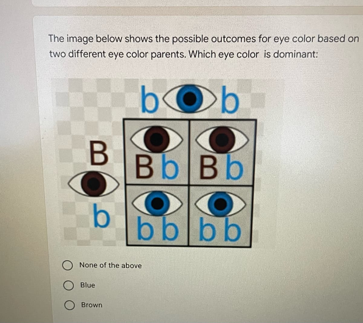 The image below shows the possible outcomes for eye color based on
two different eye color parents. Which eye color is dominant:
bOb
B
Bb Bb
b
bblbb
None of the above
Blue
Brown