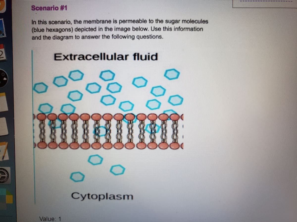 Scenario #1
In this scenario, the membrane is permeable to the sugar molecules
(blue hexagons) depicted in the image below. Use this information
and the diagram to answer the following questions.
Extracellular fluid
Cytoplasm
Value: 1
