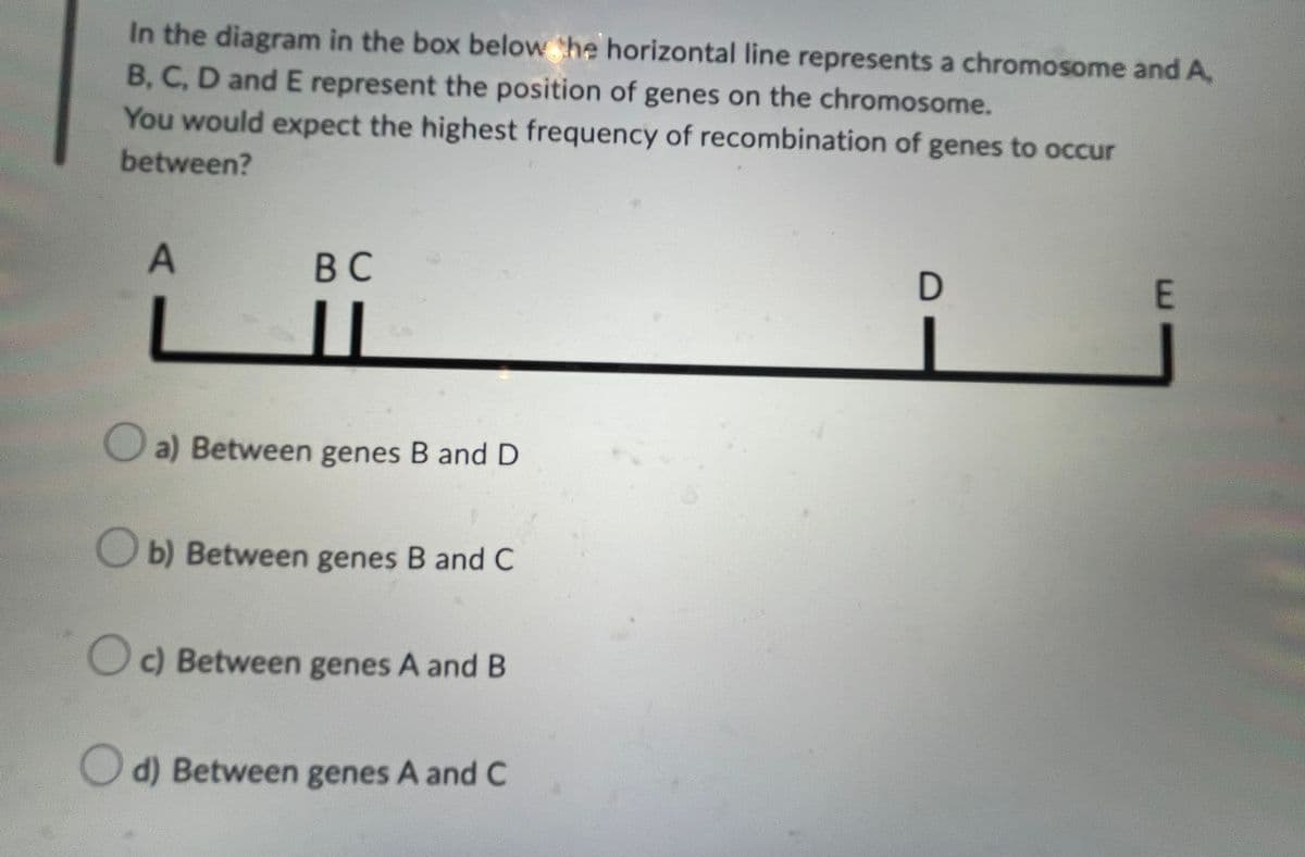 In the diagram in the box below the horizontal line represents a chromosome and A,
B, C, D and E represent the position of genes on the chromosome.
You would expect the highest frequency of recombination of genes to occur
between?
A
BC
D
E
Lll
S
a) Between genes B and D
b) Between genes B and C
c) Between genes A and B
d) Between genes A and C