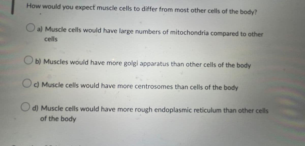 How would you expect muscle cells to differ from most other cells of the body?
a) Muscle cells would have large numbers of mitochondria compared to other
cells
b) Muscles would have more golgi apparatus than other cells of the body
c) Muscle cells would have more centrosomes than cells of the body
d) Muscle cells would have more rough endoplasmic reticulum than other cells
of the body