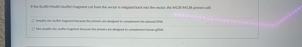 If the EcoRI/HindIII (stuffer) fragment cut from the vector is religated back into the vector, the M13F/M13R primers will:
O Amplify the stuffer fragment because the primers are designed to complement the plasmid DNA
O Not amplify the stuffer fragment because the primers are designed to complement human gDNA