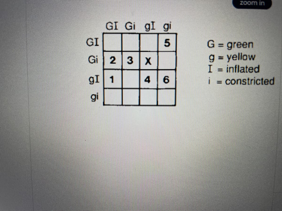 GI
Gi|
GI Gi gI gi
5
2 | 3
23
gI 1
gi
[X
46
zoom in
G = green
g=yellow
I = inflated
i = constricted