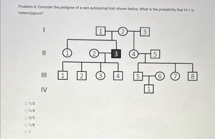 Problem 4: Consider the pedigree of a rare autosomal trait shown below. What is the probability that IV-1 is
heterozygous?
I
||
1
2
1
3
3 4 5
III
=
1
2
3
4
5
6
7
8
IV
1
01/3
01/4
02/3
1/8
01
