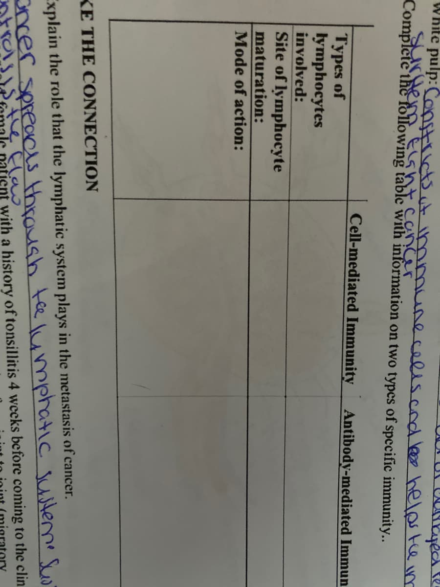 White pulp: Constricts ut immuneceliscnde helo ke im
Cancer
Complete the following table with information on two types of specific immunity..
Cell-mediated Immunity
Antibody-mediated Immun
Турes of
lymphocytes
involved:
Site of lymphocyte
maturation:
Mode of action:
KE THE CONNECTION
ncer spreaas throush tee umphatic susteme Sw
ent with a history of tonsillitis 4 weeks before coming to the clin
Explain the role that the lymphatic system plays in the metastasis of cancer.
Elaw
