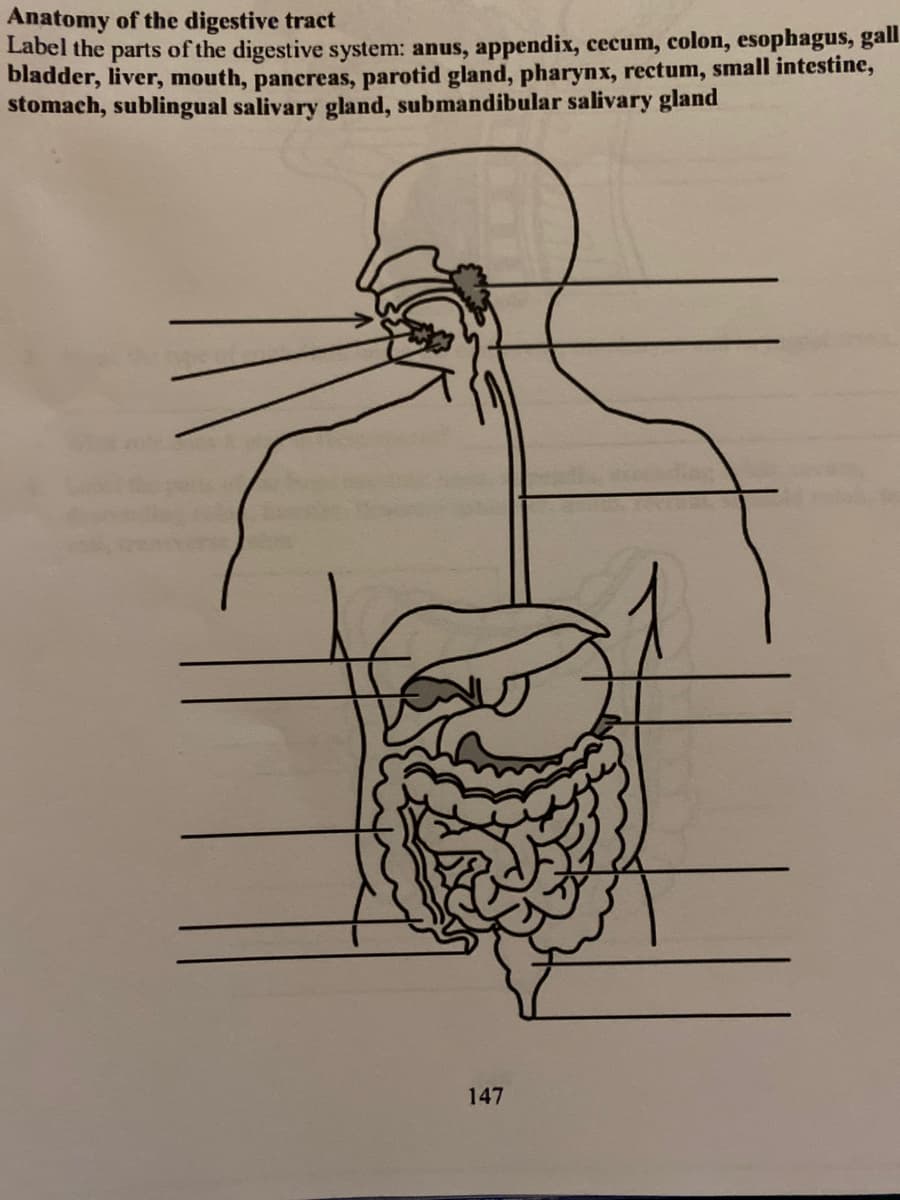 Anatomy of the digestive tract
Label the parts of the digestive system: anus, appendix, cecum, colon, esophagus, gall
bladder, liver, mouth, pancreas, parotid gland, pharynx, rectum, small intestine,
stomach, sublingual salivary gland, submandibular salivary gland
147
