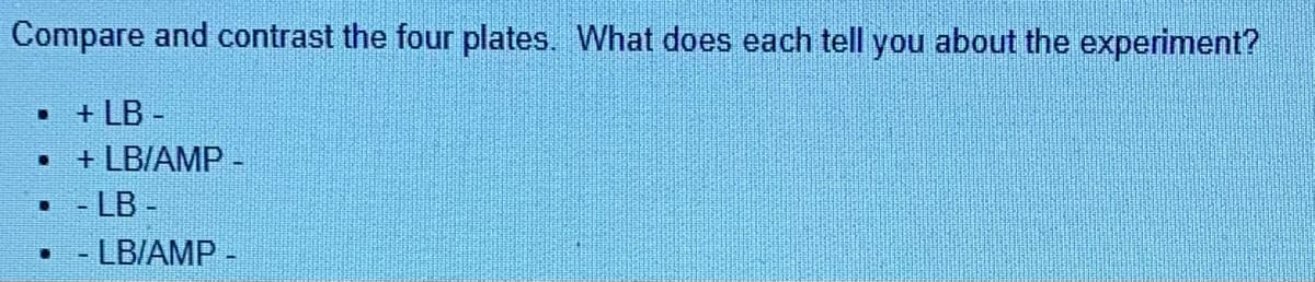 Compare and contrast the four plates. What does each tell you about the experiment?
.
.
+ LB-
+ LB/AMP
. -LB-
.
- LB/AMP -