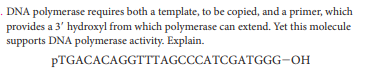 . DNA polymerase requires both a template, to be copied, and a primer, which
provides a 3' hydroxyl from which polymerase can extend. Yet this molecule
supports DNA polymerase activity. Explain.
PTGACACAGGTTTAGCCCATCGATGGG-OH

