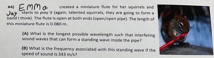 created a miniature flute for her squirrels and
#4) EMMa
Jay starts to play it (again, talented squirrels, they are going to form a
band I think). The flute is open at both ends (open/open pipe). The length of
this miniature flute is 0.080 m.
(A) What is the longest possible wavelength such that interfering
sound waves that can form a standing wave inside the pipe?
(B) What is the frequency associated with this standing wave if the
speed of sound is 343 m/s?