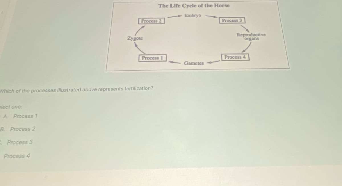 elect one:
A. Process 1
Which of the processes illustrated above represents fertilization?
B. Process 2
Process 3
Process 4
Process 2
Zygote
The Life Cycle of the Horse
Embryo
Process 1
Gametes
Process 3
Reproductive
organs
Process 4