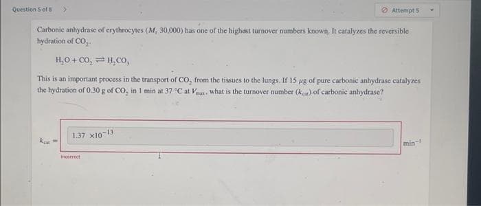 Question S of 8
O Attempt 5
Carbonic anhydrase of erythrocytes (M, 30,000) has one of the highest turnover numbers known, It catalyzes the reversible
hydration of CO,.
H,0 + CO, = H,CO,
This is an important process in the transport of CO, from the tissues to the lungs. If 15 ug of pure carbonic anhydrase catalyzes
the hydration of 0.30 g of CO, in I min at 37 °C at Vna, what is the turnover number (ka) of carbonic anhydrase?
1.37 x10-13
min
Incenect
