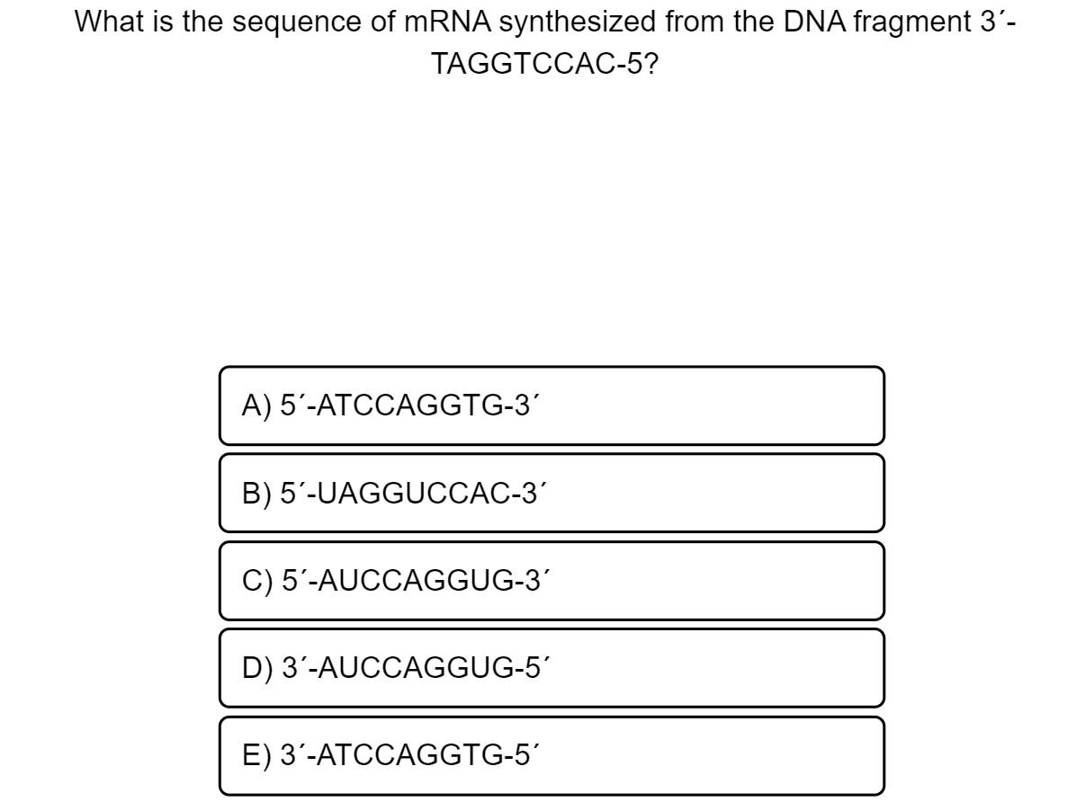 What is the sequence of MRNA synthesized from the DNA fragment 3'-
TAGGTCCAC-5?
A) 5'-ATCCAGGTG-3'
B) 5'-UAGGUCCAC-3'
C) 5'-AUCCAGGUG-3'
D) 3'-AUCCAGGUG-5'
E) 3'-ATCCAGGTG-5'
