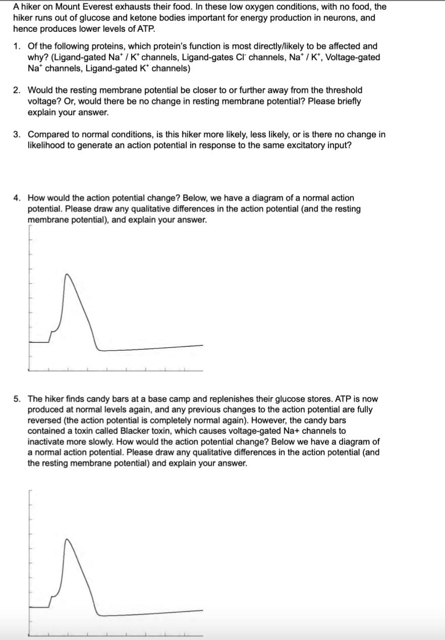 A hiker on Mount Everest exhausts their food. In these low oxygen conditions, with no food, the
hiker runs out of glucose and ketone bodies important for energy production in neurons, and
hence produces lower levels of ATP.
1. Of the following proteins, which protein's function is most directly/likely to be affected and
why? (Ligand-gated Na' / K' channels, Ligand-gates CT channels, Na' /K", Voltage-gated
Na channels, Ligand-gated K' channels)
2. Would the resting membrane potential be closer to or further away from the threshold
voltage? Or, would there be no change in resting membrane potential? Please briefly
explain your answer.
3. Compared to normal conditions, is this hiker more likely, less likely, or is there no change in
likelihood to generate an action potential in response to the same excitatory input?
4. How would the action potential change? Below, we have a diagram of a normal action
potential. Please draw any qualitative differences in the action potential (and the resting
membrane potential), and explain your answer.
5. The hiker finds candy bars at a base camp and replenishes their glucose stores. ATP is now
produced at normal levels again, and any previous changes to the action potential are fully
reversed (the action potential is completely normal again). However, the candy bars
contained a toxin called Blacker toxin, which causes voltage-gated Na+ channels to
inactivate more slowly. How would the action potential change? Below we have a diagram of
a normal action potential. Please draw any qualitative differences in the action potential (and
the resting membrane potential) and explain your answer.