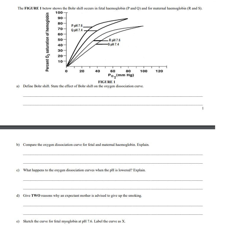 The FIGURE 1 below shows the Bohr shift occurs in fetal haemoglobin (P and Q) and for maternal haemoglobin (R and S).
100
90
80
P pH 7.6,
Q pH 7.4
70
60
R pH 7.6
-S pH 7.4
50
40
30
20
10
20
40
60
80
100
120
Po,(mm Hg)
FIGURE 1
a) Define Bohr shift. State the effect of Bohr shift on the oxygen dissociation curve.
b) Compare the oxygen dissociation curve for fetal and maternal haemoglobin. Explain.
c) What happens to the oxygen dissociation curves when the pH is lowered? Explain.
d) Give TWO reasons why an expectant mother is advised to give up the smoking.
e) Sketch the curve for fetal myoglobin at pH 7.6. Label the curve as X.
Percent O2 saturation of hemoglobin
