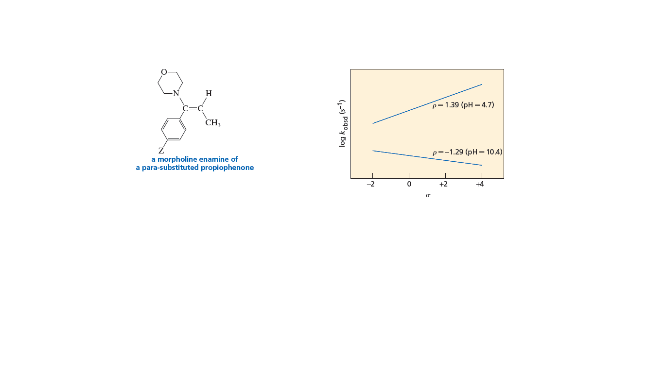 H
p=1.39 (pH = 4.7)
CH3
p=-1.29 (pH = 10.4)
a morpholine enamine of
a para-substituted propiophenone
-2
+2
+4
