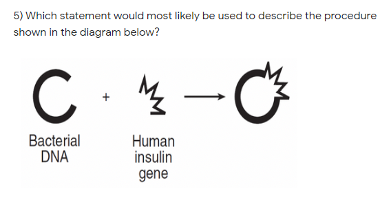 5) Which statement would most likely be used to describe the procedure
shown in the diagram below?
C
Bacterial
DNA
Human
insulin
gene
