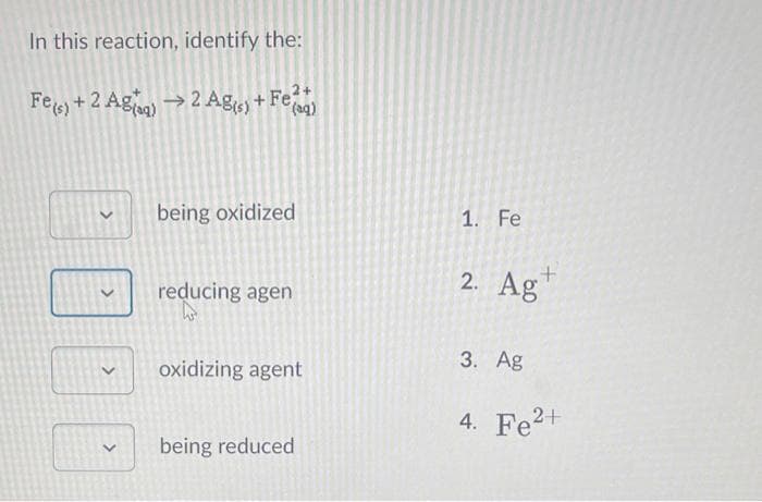 In this reaction, identify the:
2+
Fe(s) + 2 Agg) → 2 Ag(s) + Fe²+
<
being oxidized
reducing agen
h
oxidizing agent
being reduced
1. Fe
+
2. Ag
3. Ag
4. Fe²+