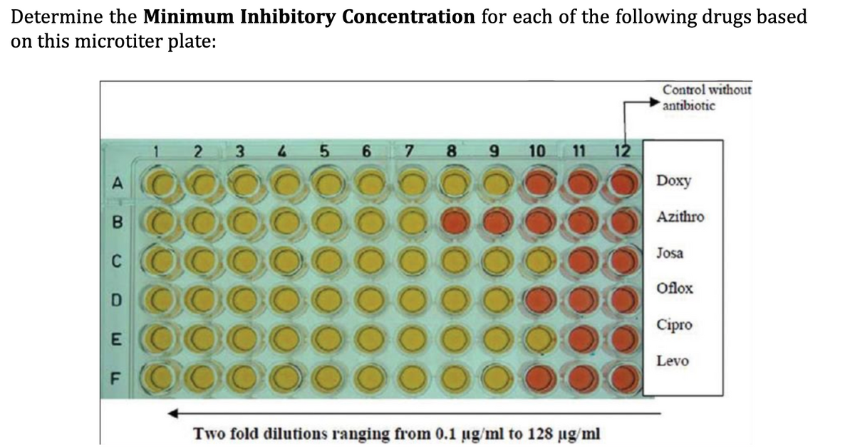 Determine the Minimum Inhibitory Concentration for each of the following drugs based
on this microtiter plate:
Control without
antibiotic
1 2 3 4 5 6 7 8 9 10 11 12
A
Doxy
Azithro
Josa
C
Oflox
D.
Сipro
E OOOC
0000
Levo
Two fold dilutions ranging from 0.1 ug/ml to 128 ug/ml
