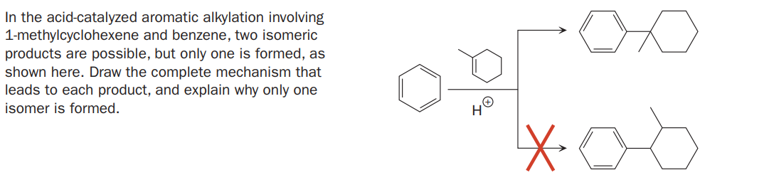 In the acid-catalyzed aromatic alkylation involving
1-methylcyclohexene and benzene, two isomeric
products are possible, but only one is formed, as
shown here. Draw the complete mechanism that
leads to each product, and explain why only one
isomer is formed.
