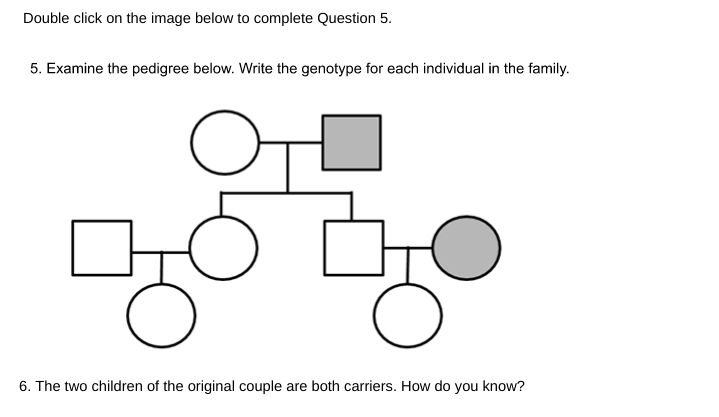 Double click on the image below to complete Question 5.
5. Examine the pedigree below. Write the genotype for each individual in the family.
6. The two children of the original couple are both carriers. How do you know?