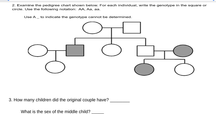 2. Examine the pedigree chart shown below. For each individual, write the genotype in the square or
circle. Use the following notation: AA, Aa, aa.
Use A to indicate the genotype cannot be determined.
3. How many children did the original couple have?
What is the sex of the middle child?