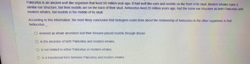 Pakicetus is an ancient wolf-like organism that lived 50 million year ago. It had wolf-like ears and nostrils on the front of its skull. Modem whales have a
similar ear structure, but their nostrils are on the back of their skull. Aetiocetus lived 25 million years ago, had the same ear structure as both Pakicetus and
modern whales, but nostrils in the middle of its skull.
According to this information, the most likely concilusion that biologists could draw about the relationship of Aetiocetus to the other organisms is that
Aetiocetus
O evolved as whale ancestors lost their forward-placed nostrils through disuse.
O is the ancestor of both Pakicetus and modern whales.
O is not related to either Pakicetus or modern whales.
O is a transitional form between Pakicetus and modern whales.
