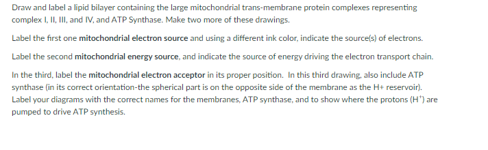 Draw and label a lipid bilayer containing the large mitochondrial trans-membrane protein complexes representing
complex I, II, II, and IV, and ATP Synthase. Make two more of these drawings.
Label the first one mitochondrial electron source and using a different ink color, indicate the source(s) of electrons.
Label the second mitochondrial energy source, and indicate the source of energy driving the electron transport chain.
In the third, label the mitochondrial electron acceptor in its proper position. In this third drawing, also include ATP
synthase (in its correct orientation-the spherical part is on the opposite side of the membrane as the H+ reservoir).
Label your diagrams with the correct names for the membranes, ATP synthase, and to show where the protons (H*) are
pumped to drive ATP synthesis.
